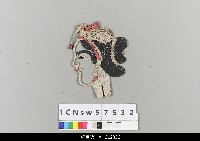 藏品(中國湖北皮影戲偶頭-旦)的圖片